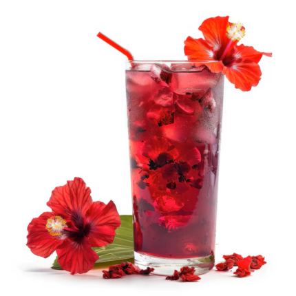 Hibiscus
